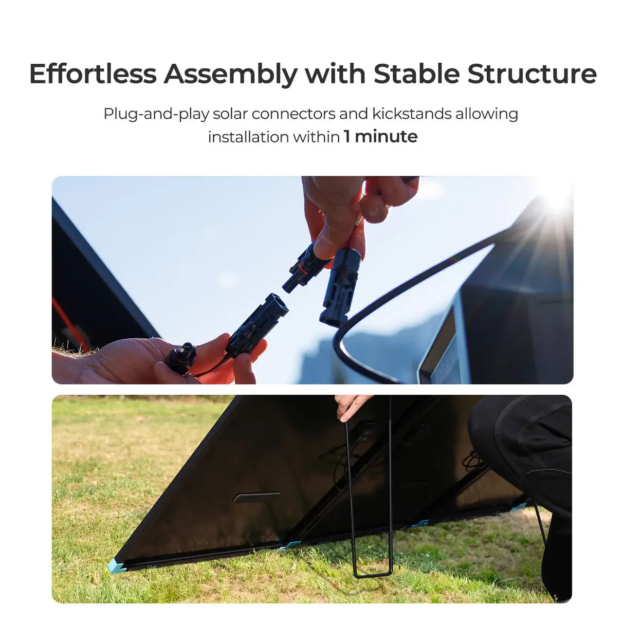 Renogy 300W Portable Solar Panel