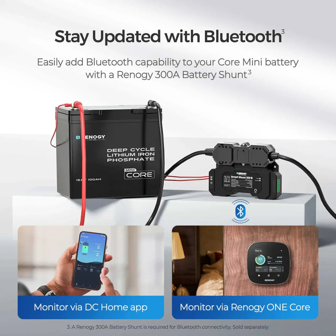 Renogy Core Mini 12V 100Ah Lithium Battery