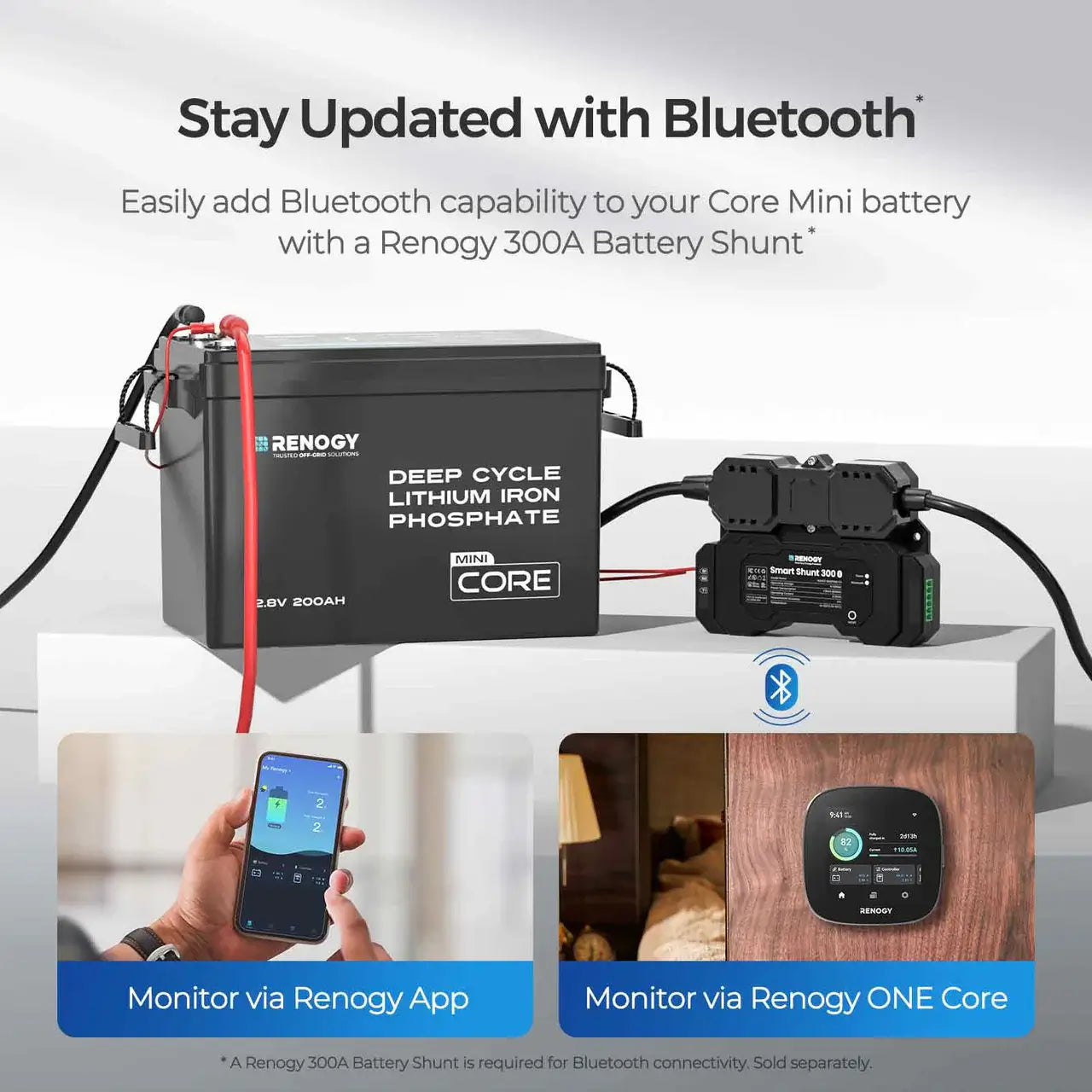 Renogy Core Mini 12V 200Ah Lithium Battery